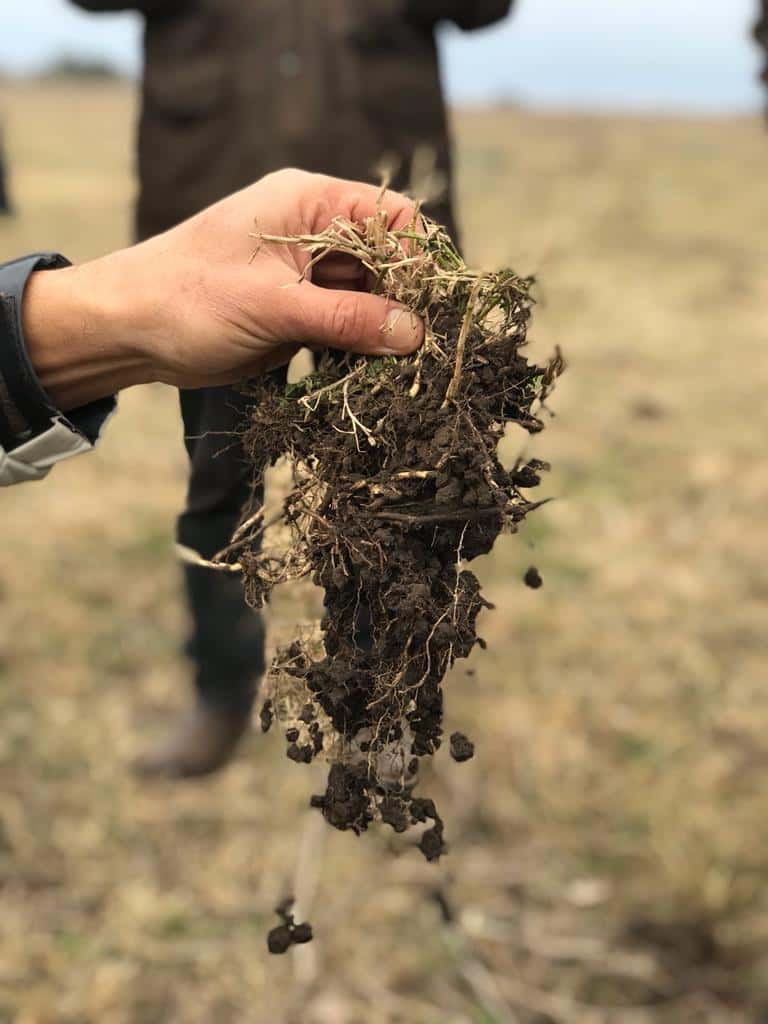 IV edición de EnBio: Innovación y sustentabilidad en la producción de cultivos extensivos